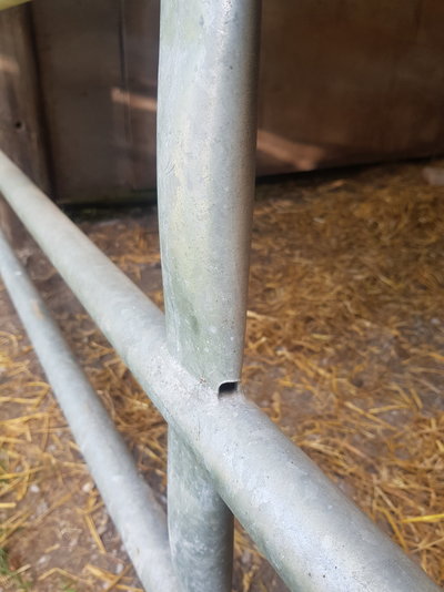 20200721_123109.jpg 20200721_123109.jpg