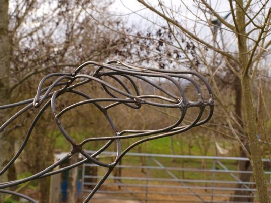 earssmallpic.jpg earssmallpic.jpg