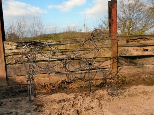 calf21 3 12 007.jpg calf21 3 12 007.jpg