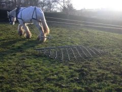 horse-drawn-chain-harrows[1].jpg