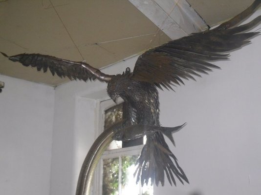 SDC11793.jpg