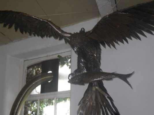 SDC11795.jpg