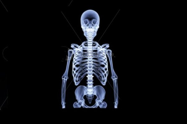 stock-photo-human-skeleton-under-the-x-rays-d-render-53894176.jpg