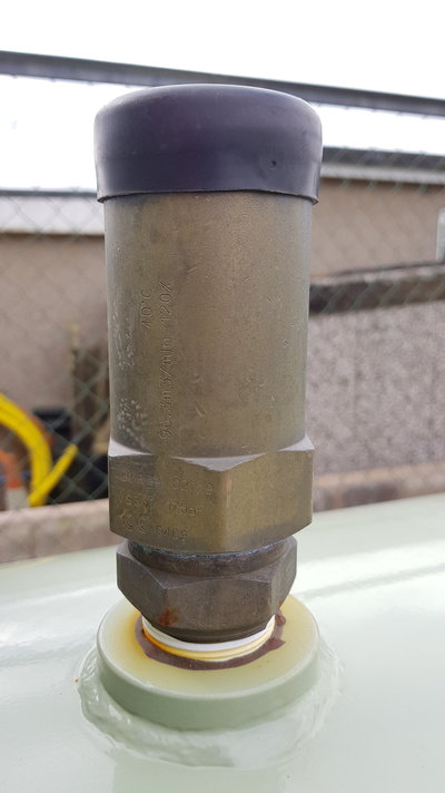 20200729_095158.jpg 20200729_095158.jpg