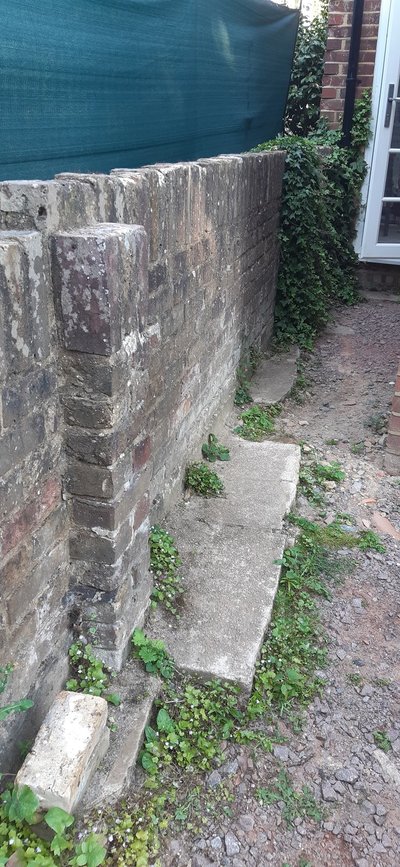 20200803_084637.jpg