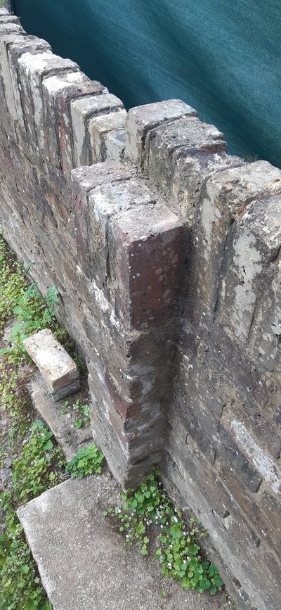 20200803_084625.jpg