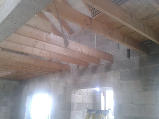 20200807_120333.jpg
