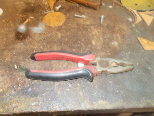 DSCN1910.JPG