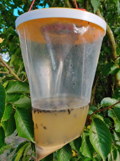 IMG_20200818_180636.jpg IMG_20200818_180636.jpg