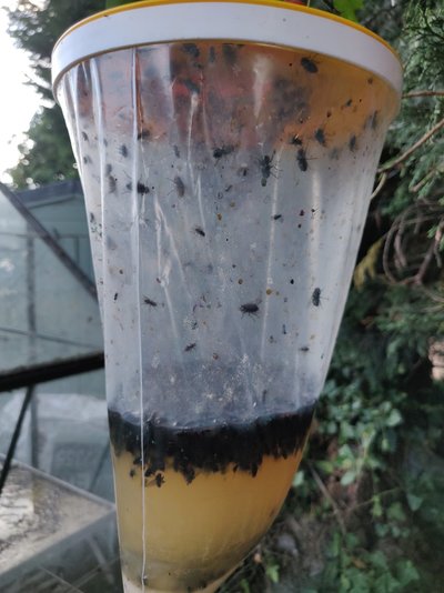 IMG_20200818_180658.jpg IMG_20200818_180658.jpg