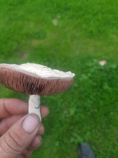 20200908_191227.jpg