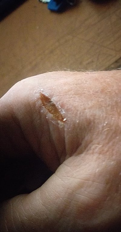 cut2.jpg