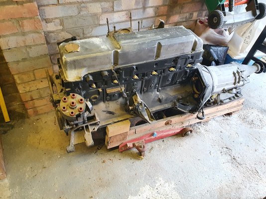 20200926_140445.jpg