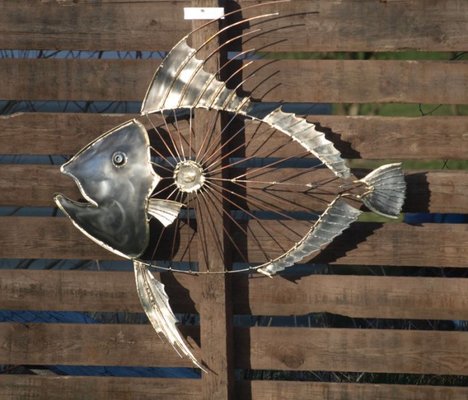 john dory.jpg