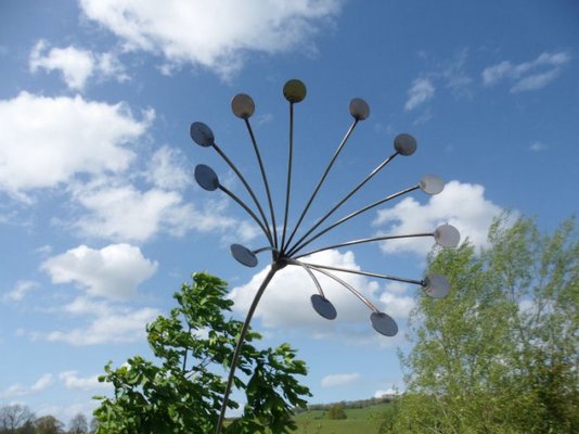 ss moneyflowers 002.jpg