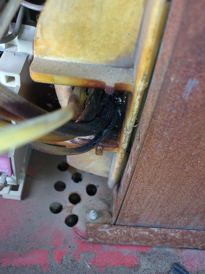 burnt wires.jpg