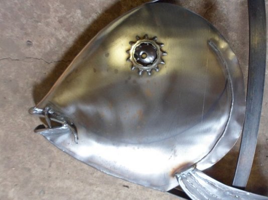 carp 003.jpg