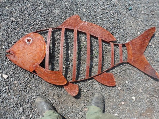 carp rusty 005.jpg
