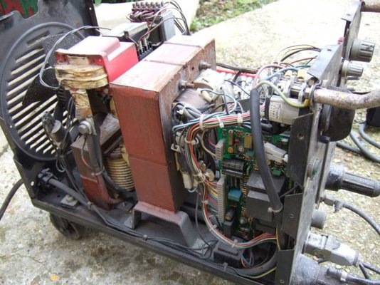 tig.jpg