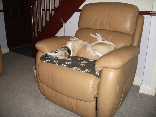 DSCF1068.JPG