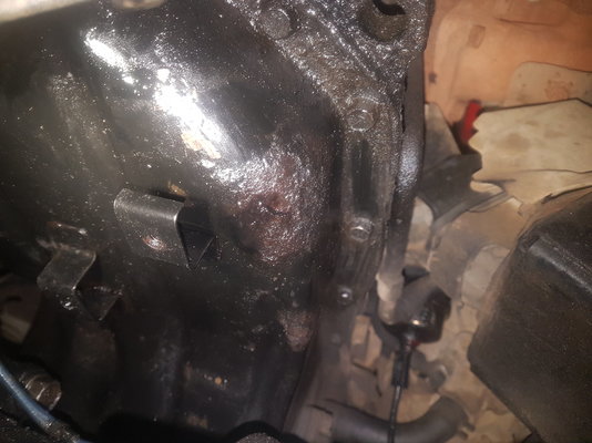 20201114_154751.jpg