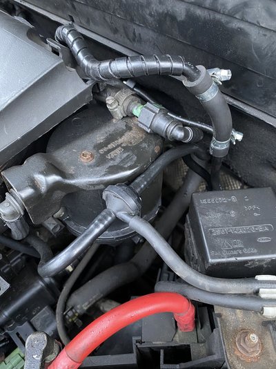FF313381-D41F-4F1A-AC97-EBBA922A2A71.jpeg