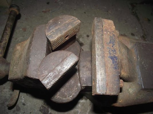 fortis double1.jpg