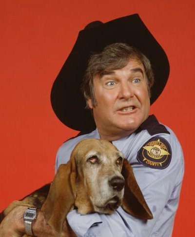 Rosco P Coltrane.jpg