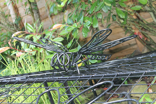dragonfly10.jpg
