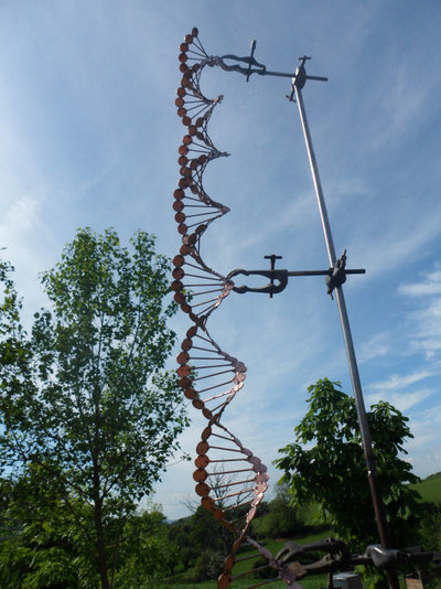 DNA 008 - Copy.JPG