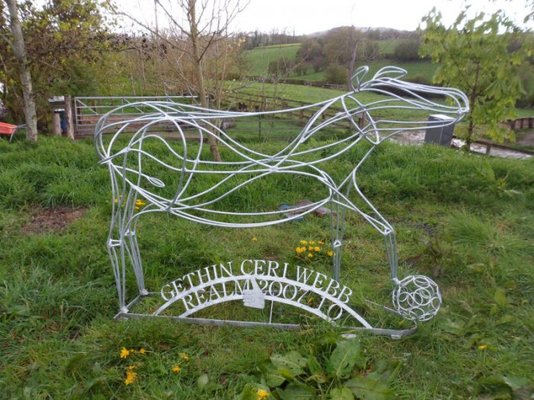 calf galvanized smallpic.jpg calf galvanized smallpic.jpg