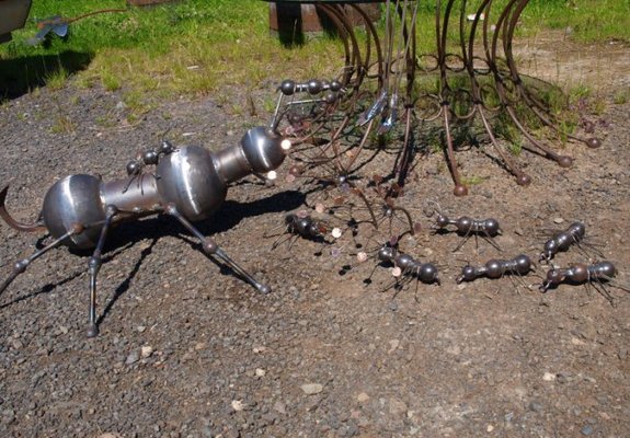 ant boy with ants 011.jpg