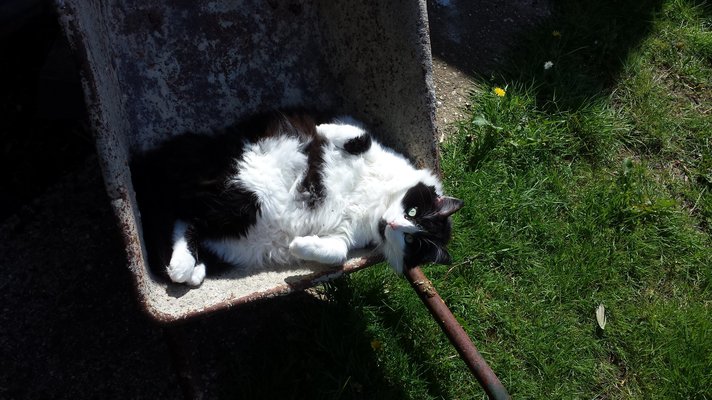 20150510_152503.jpg