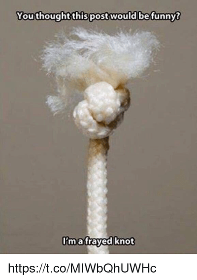 you-thought-this-post-would-be-funny-im-a-frayed-11226239.png