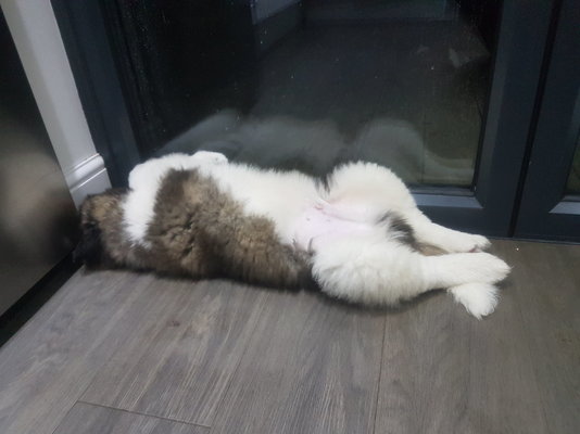 20201213_215027.jpg
