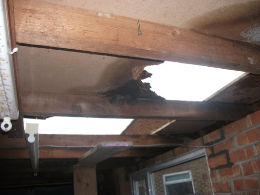 DSCF1355.JPG