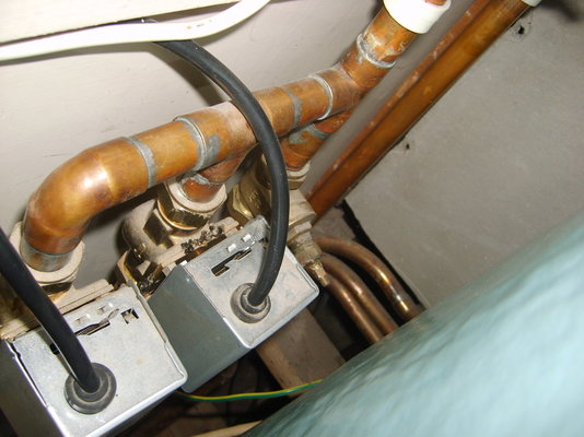 S6003537.JPG