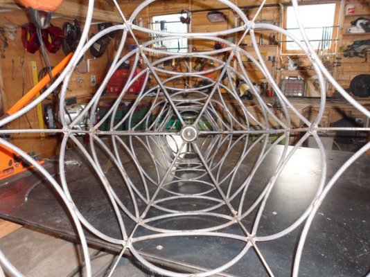 radiolarian mechanism 002.jpg