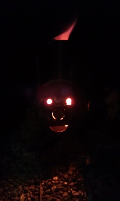 IMAG0036.jpg