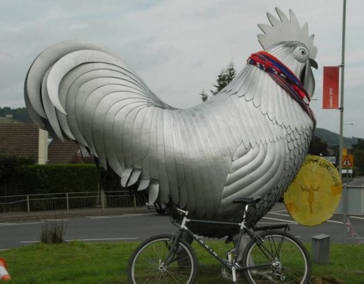chicken.jpg
