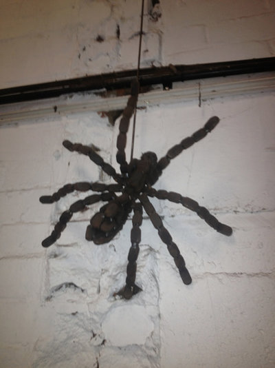 spider02.jpg