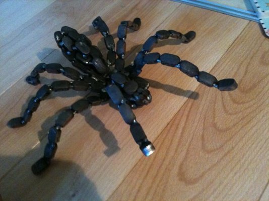 spider02.jpg