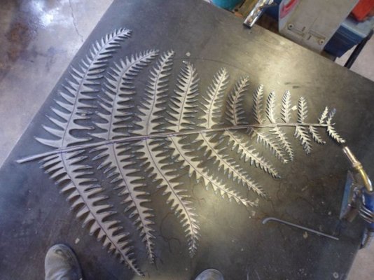fern.jpg fern.jpg
