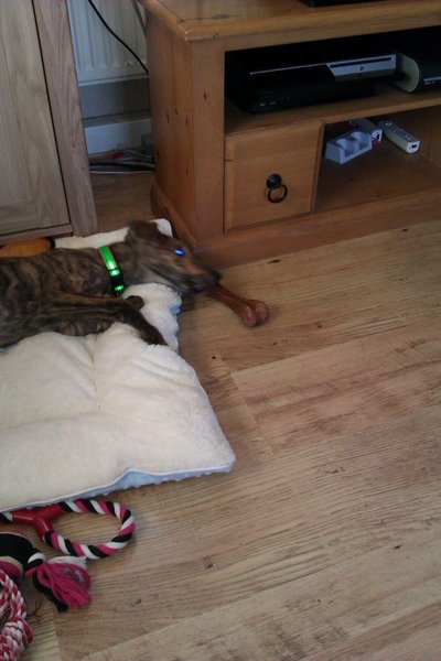 IMAG0288.jpg