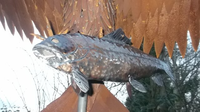 DSCF8219 (640x360).jpg