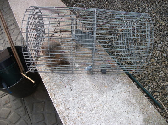 DSCF1365.JPG