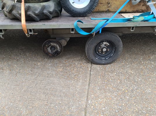 2021-03-14 16.50.00 (Medium).jpg