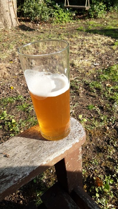 IMG-20210601-WA0005.jpeg