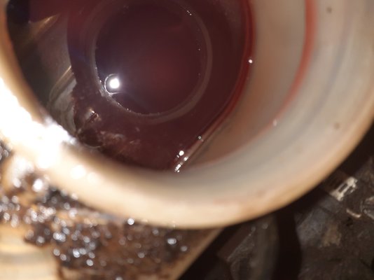 20210601_145811.jpg