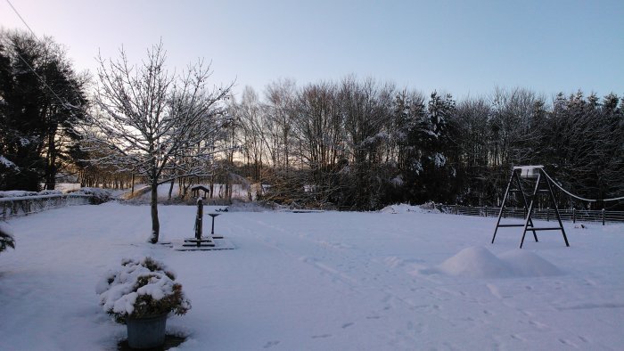 WP_000337.jpg